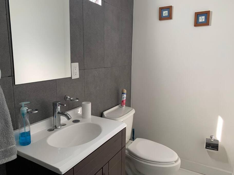 Departamento Completo Y Equipado Con 2 Habitaciones León Kültér fotó